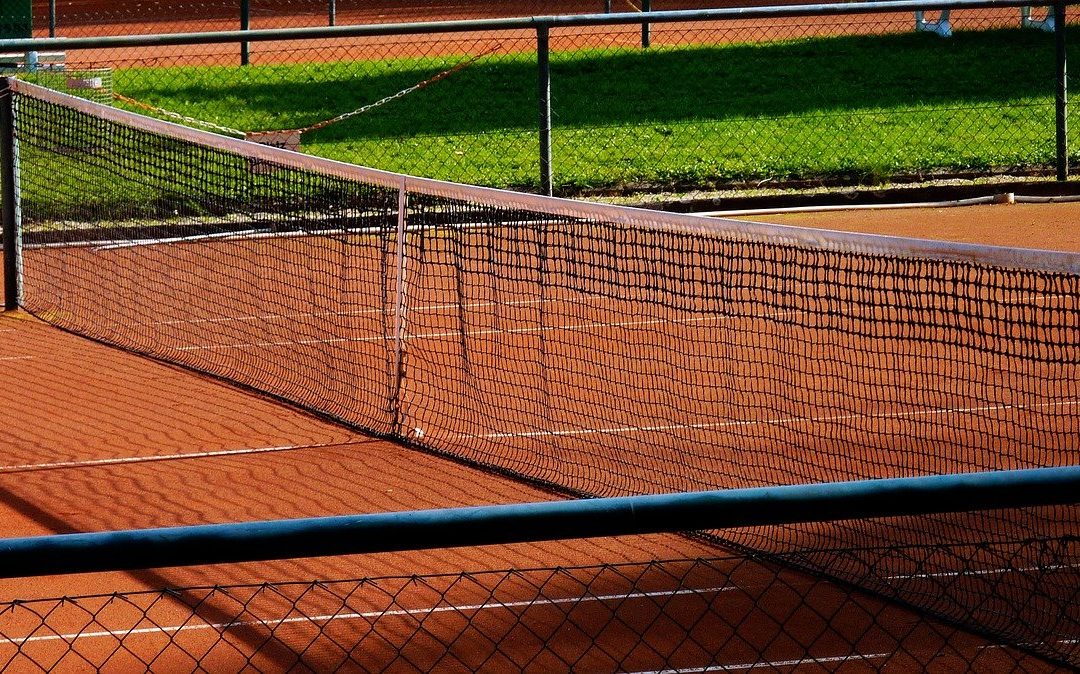 Most profitable sports to bet on
